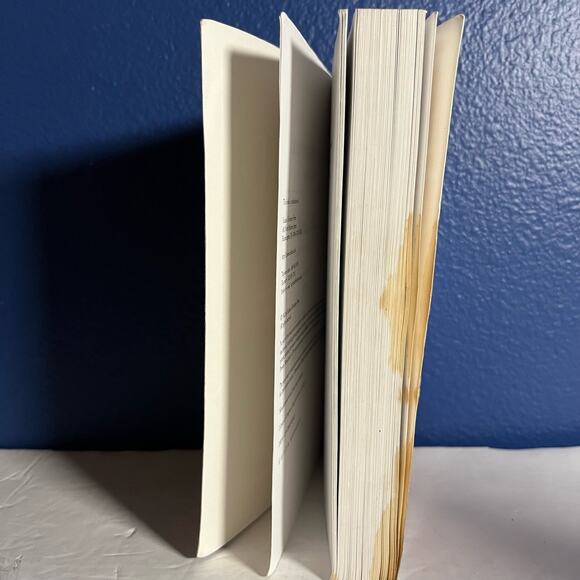 The Aeneid: An Epic Poem of Rome - Picture 8 of 8